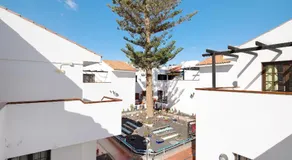 Galcanary - Image 5