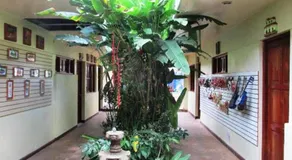 Art Hotel Managua - Image 5