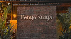 Ponyo Stays - Image 4