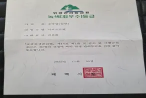 Taebaek Egis - Image 2
