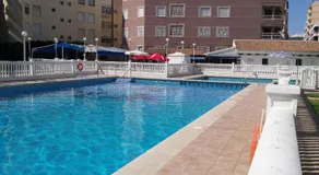 Palmeral de Torrevieja - Image 2