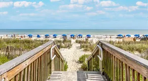 Seven Palms - Image 5