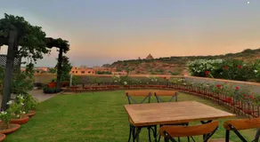 The Almond Tree - Image 5