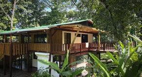 Casa Shec- An Oceanfront Jungle Retreat - Image 5