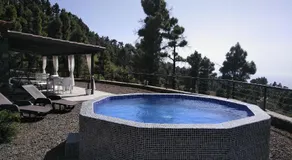 La Palma Wild Life - Image 3
