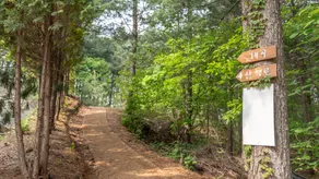 Hoengseong Withpet Village - Image 2