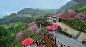 Natural Residence B&B - Image 3
