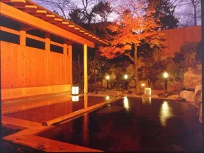 Shima Onsen Shojukan - Image 3