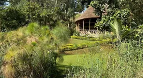Itambira Island, Seeds of Hope - Image 4