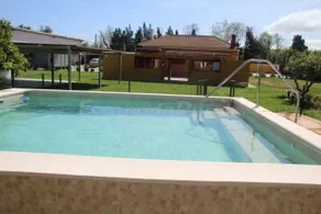 ENTRE NARANJOS - Image 3