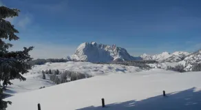 pure mountain BASE - Image 4