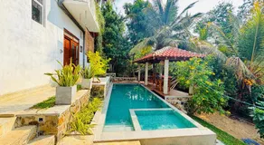 Brown Birds Villa - Image 3