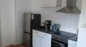 Grüner Blick - Image 3