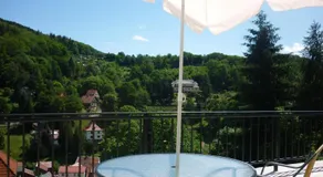 Hotel Waldhaus-Hutzelhöh - Image 4