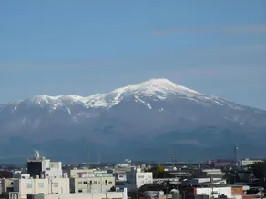 Sakata Green Hotel - Image 2