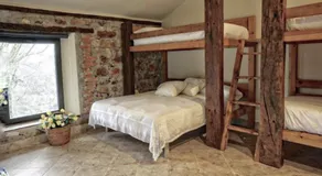 FINCA ALEGRANZA - Image 2