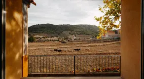El Calar - Casas Rurales Luis - Image 4