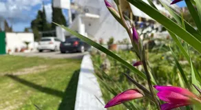 Navy Studio by likeyourhome with Mountain View Balcony, Near Beach 1 km, Self Check-in - Image 3