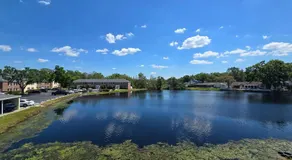 Beautiful Condo Close to Busch Gardens - Image 4