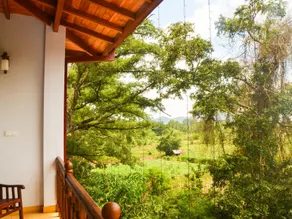 Lion Nature - Image 3