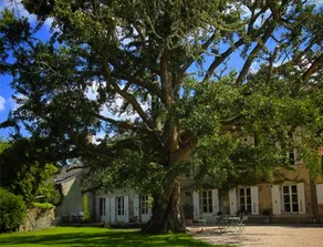 Domaine Saint-Hilaire - Image 4