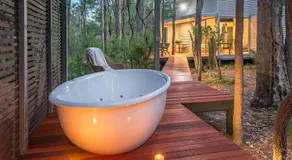 Hidden Valley Forest Retreat - Image 4