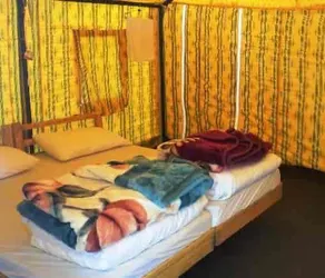 Apple Nubra Cottage - Image 5