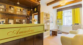 Hotel Amadeus - Image 2