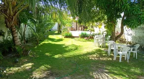 Arborizado - Image 4