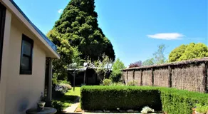 Apple Tree Cottage - Image 3