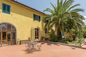 Camera Rondinaia, amidst the olive trees - Image 5