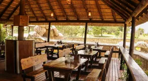 Knysna Elephant Park Lodge - Image 2