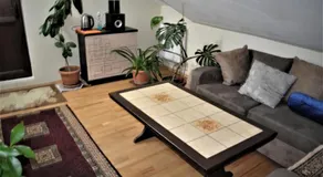Family Guesthouse - MACHARASHVILI - Image 2