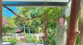 Chez Anna et Hugues - Image 3
