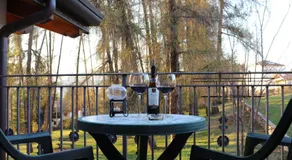 hotel Parco Pineta - Image 5