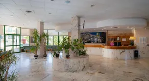 ALEGRIA Pino Alto - Image 5