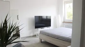 New & Modern Apartment with Beautiful Lake View! - Image 2