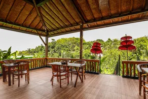 The Kleep Jungle Resort - Image 5