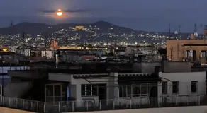 Oasi di pace - Image 5