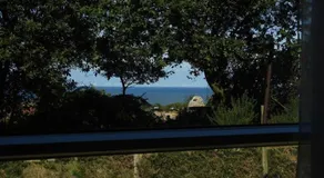 Lifes A Beach - Image 5