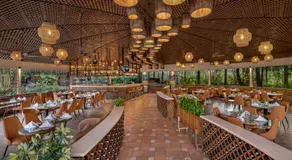 Big Banyan Vineyard & Resort - Image 2