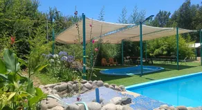 Las palmeras de Colbún - Image 5
