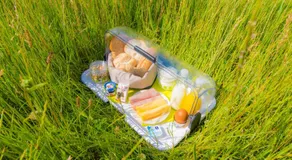 Bed & Breakfast Bos en Weide - Image 4