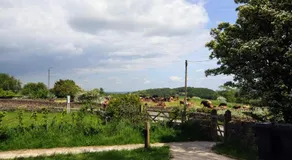 Saints' Meadow - Image 5