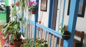 Hostal Bosque de Niebla - Image 4