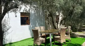 Las olivas - Image 3