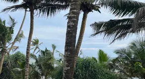 Sabine Holiday Resort and Restaurant - Image 3