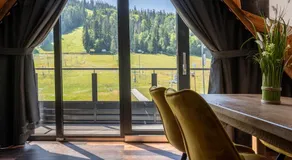 Apartamenty Polana pod Nosalem - zachód - Image 4