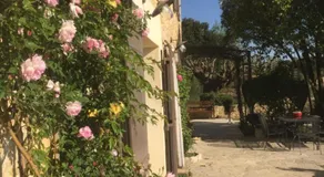 La Fontaine des Oliviers - Image 5