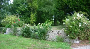 Chambre d'hôte au domaine de la Miottiere - Image 5